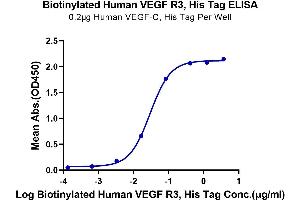 ELISA image for Fms-Related Tyrosine Kinase 4 (FLT4) (AA 25-776) protein (His-Avi Tag,Biotin) (ABIN7275840)
