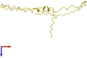 PTMA Protein (AA 1-111) (His tag)