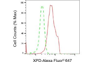Flow cytometric analysis of XPD expression in HeLa cells using XPD antibody (ABIN7798540), 1:2,000). (Rekombinanter ERCC2 Antikörper)