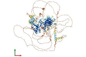 Protein Structure (PS) image for Hairless (HR) (AA 1-1189) protein (His tag) (ABIN7554069)