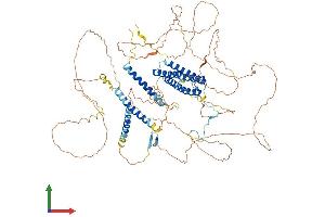 Protein Structure (PS) image for Discs, Large (Drosophila) Homolog-Associated Protein 5 (DLGAP5) (AA 1-846) protein (His tag) (ABIN7553723)