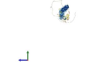 Protein Structure (PS) image for Fibronectin Type III Domain Containing 3A (FNDC3A) (AA 1-1198) protein (His tag) (ABIN7553956)