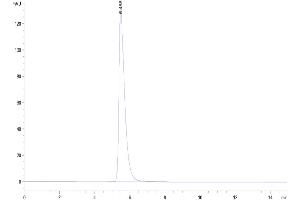 Size-exclusion chromatography-High Pressure Liquid Chromatography (SEC-HPLC) image for Receptor Tyrosine Kinase-Like Orphan Receptor 1 (ROR1) (AA 30-403) protein (Fc Tag) (ABIN7275530)