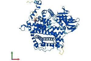 Protein Structure (PS) image for Acyl-CoA Oxidase 2, Branched Chain (Acox2) (AA 1-681) protein (His tag) (ABIN7561744)