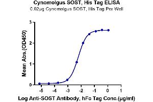 ELISA image for Sclerostin (SOST) (AA 69-258) protein (His tag) (ABIN7275635)