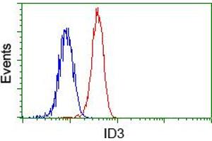 Flow cytometric analysis of Hela cells, using anti-ID3 antibody (ABIN2453162), (Red) compared to a nonspecific negative control antibody (TA50011) (Blue). (ID3 Antikörper)