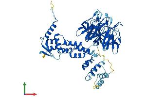 Protein Structure (PS) image for Kelch-Like 23 (KLHL23) (AA 1-558) protein (His tag) (ABIN7548927)