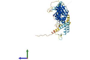 AlphaFold protein structure predicition of Human Recombinant RIOK3 Protein, UniprotID O14730