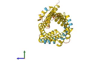 Protein Structure (PS) image for Uncoupling Protein 2 (Mitochondrial, Proton Carrier) (UCP2) (AA 1-309) protein (His tag) (ABIN7544923)