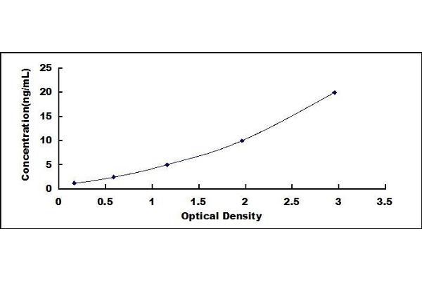 SLC6A2 ELISA Kit