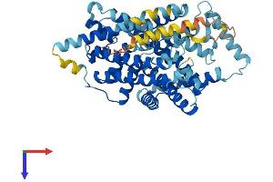 SLC7A5 Protein (AA 1-512) (His tag)