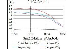 Black line: Control Antigen (100 ng), Purple line: Antigen(10 ng), Blue line: Antigen (50 ng), Red line: Antigen (100 ng), (Cadherin 5 Antikörper  (AA 29-223))