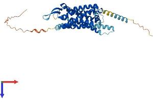 NPY2R Protein (AA 1-381) (His tag)