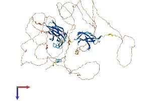 NFAT1 Protein (AA 1-925) (His tag)