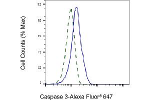 Validation of Caspase 3 knockdown using flow cytometry. (Rekombinanter Caspase 3 Antikörper)