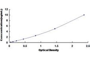 Typical standard curve (ADAM9 ELISA Kit)