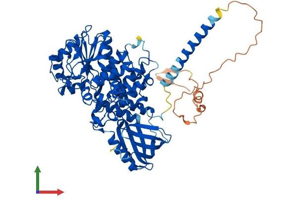 MTMR6 Protein (AA 1-621) (His tag)