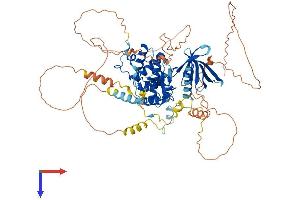 EPB41L4A Protein (AA 1-686) (His tag)