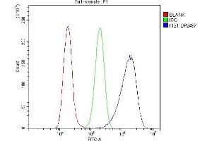 Flow Cytometry analysis of A549 cells using anti-FIS1 antibody (ABIN7598965). (Fission 1 Antikörper  (AA 1-121))