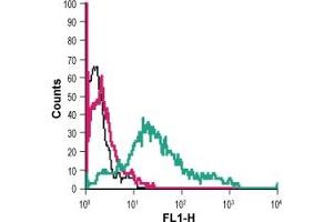 Cell surface detection of P2RY12 in live intact human  megakaryoblastic leukemia cells:Cells.