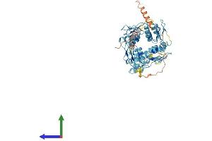 Protein Structure (PS) image for Zinc Finger Protein 90 (ZNF90) (AA 1-601) protein (His tag) (ABIN7545603)