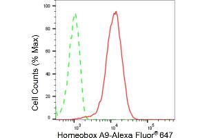 Flow cytometric analysis of Homeobox A9 expression in HepG2 cells using Homeobox A9 antibody (ABIN7798991), 1:2,000). (Rekombinanter HOXA9 Antikörper)