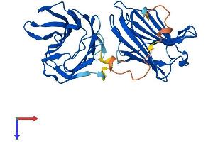 LGALS8 Protein (AA 1-317) (His tag)