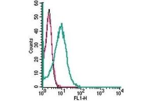 Cell surface detection of ASCT2 in live intact human HL-60 promyelocytic leukemia cells: (black line) Cells. (SLC1A5 Antikörper  (Extracellular))