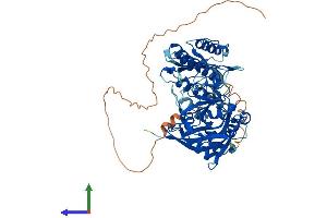 Protein Structure (PS) image for Poly (ADP-Ribose) Polymerase 2 (PARP2) (AA 1-583) protein (His tag) (ABIN7550618)