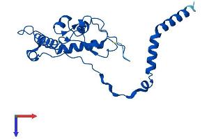 RPL13 Protein (AA 1-211) (His tag)