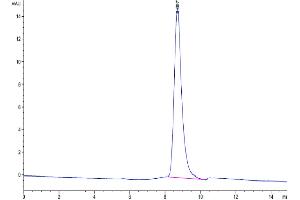 Size-exclusion chromatography-High Pressure Liquid Chromatography (SEC-HPLC) image for Plasminogen Activator, Urokinase Receptor (PLAUR) (AA 24-298) protein (His-Avi Tag,Biotin) (ABIN7275410)