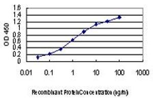 ELISA image for anti-Mitogen-Activated Protein Kinase 13 (MAPK13) (AA 251-365) antibody (ABIN562420)