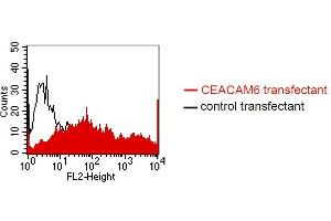 FACS analysis of BOSC23 cells using MUS. (CEACAM5/6 Antikörper)
