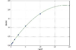 zeta-Chain (TCR) Associated Protein Kinase 70kDa (ZAP70) ELISA Kit