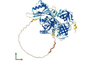 Protein Structure (PS) image for GTP Binding Protein 2 (GTPBP2) (AA 1-602) protein (His tag) (ABIN7557210)