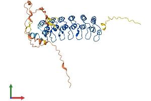Protein Structure (PS) image for Nuclear Factor of kappa Light Polypeptide Gene Enhancer in B-Cells Inhibitor, epsilon (NFKBIE) (AA 1-364) protein (His tag) (ABIN7562441)