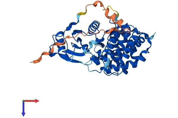 Ethanolamine Kinase 2 Protein (ETNK2) (AA 1-385) (His tag)