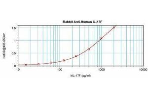 Image no. 3 for anti-Interleukin 17F (IL17F) antibody (ABIN465701) (IL17F Antikörper)