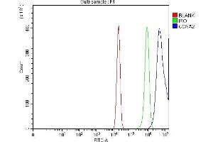 Flow Cytometry analysis of U20S cells using anti-Cyclin A2 antibody (ABIN3043481).