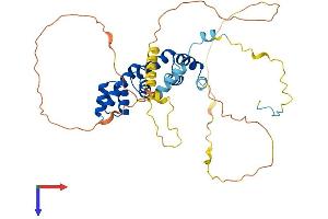 Ubiquitin Associated Protein 1-Like (UBAP1L) (AA 1-381) protein (His tag)