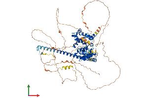 Protein Structure (PS) image for TBC1 Domain Family, Member 12 (TBC1D12) (AA 1-775) protein (His tag) (ABIN7544189)