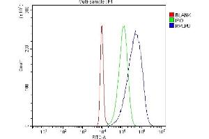 Flow Cytometry analysis of HL-60 cells using anti-RPLP0 antibody (ABIN7599197).