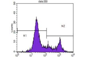 Flow Cytometry (FACS) image for anti-CD8 (CD8) antibody (ABIN1843096) (CD8 Antikörper)