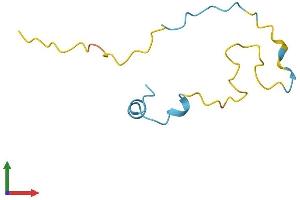 AlphaFold protein structure predicition of Human Recombinant PDE6H Protein, UniprotID Q13956