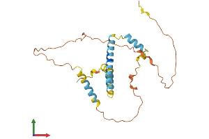 Protein Structure (PS) image for EP300 Interacting Inhibitor of Differentiation 2 (EID2) (AA 1-236) protein (His tag) (ABIN7558129)