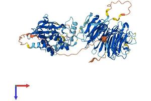 NEK8 Protein (AA 1-698) (His tag)