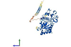Protein Structure (PS) image for Fucosyltransferase 5 (Alpha (1,3) Fucosyltransferase) (FUT5) (AA 1-374) protein (His tag) (ABIN7547898)