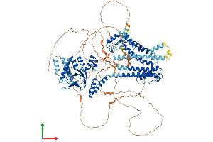 Protein Structure (PS) image for Hyperpolarization Activated Cyclic Nucleotide-Gated Potassium Channel 1 (HCN1) (AA 1-890) protein (His tag) (ABIN7554085)
