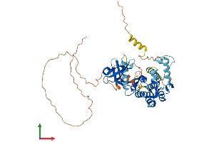 Protein Structure (PS) image for MAP Kinase Interacting serine/threonine Kinase 2 (MKNK2) (AA 1-459) protein (His tag) (ABIN7564540)