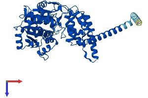 FAR1 Protein (AA 1-515) (His tag)